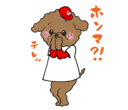 Teacup life of the poodle "cocoa" 2 sticker #11252704