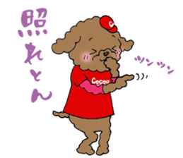 Teacup life of the poodle "cocoa" 2 sticker #11252705