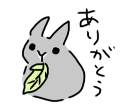 Gray rabbit1 sticker #11252992