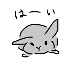 Gray rabbit1 sticker #11253002