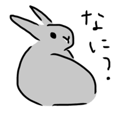 Gray rabbit1 sticker #11253003