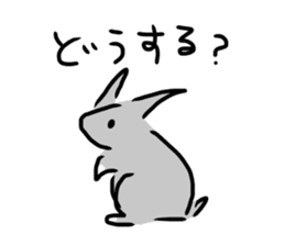 Gray rabbit1 sticker #11253015