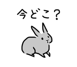 Gray rabbit1 sticker #11253016