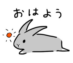 Gray rabbit1 sticker #11253028