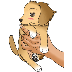 Chiroru's daily life.