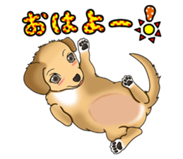 Chiroru's daily life. sticker #11253192