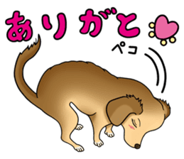 Chiroru's daily life. sticker #11253201