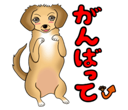 Chiroru's daily life. sticker #11253203