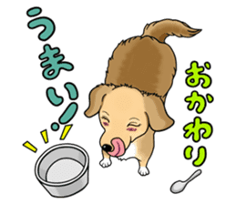 Chiroru's daily life. sticker #11253219