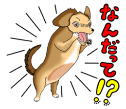 Chiroru's daily life. sticker #11253221