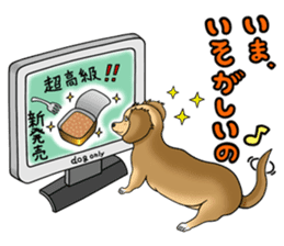Chiroru's daily life. sticker #11253223
