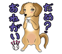 Chiroru's daily life. sticker #11253227