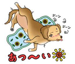 Chiroru's daily life. sticker #11253231