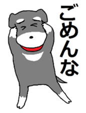 Cute?Japanese Kitten in Kyoto sticker #11254355