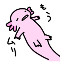 Axolotl daily life sticker #11255010
