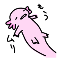 Axolotl daily life sticker #11255010