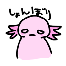 Axolotl daily life sticker #11255014