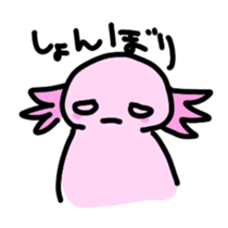 Axolotl daily life sticker #11255014
