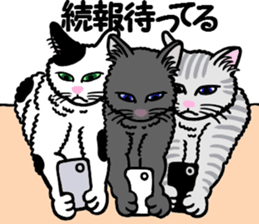 I am a cat.Thank you.9! sticker #11255144