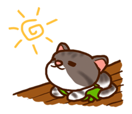 HAPPINESS NYAN x 4 sticker #11255571