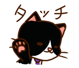 HAPPINESS NYAN x 4 sticker #11255573