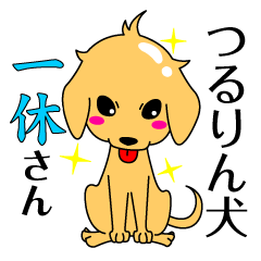 My dog Ikkyuu-san
