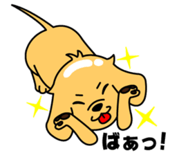 My dog Ikkyuu-san sticker #11256351