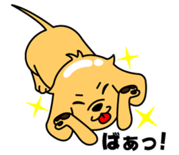 Get Wallpaper My Dog Ikkyuu San By Ice Sticker 11256351 Free HD