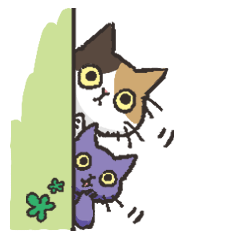 Daily life of Black cat and Calico cat