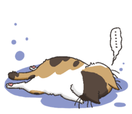 Daily life of Black cat and Calico cat sticker #11258132