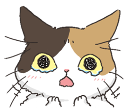 Daily life of Black cat and Calico cat sticker #11258136
