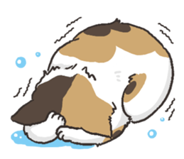 Daily life of Black cat and Calico cat sticker #11258139