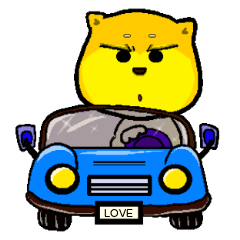 Shiba bear's life chapter