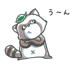 Racoon dog with a poker face sticker #11258608