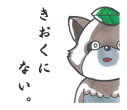 Racoon dog with a poker face sticker #11258609