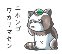 Racoon dog with a poker face sticker #11258620
