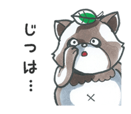 Racoon dog with a poker face sticker #11258630
