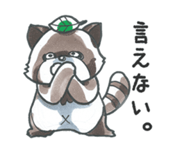Racoon dog with a poker face sticker #11258631