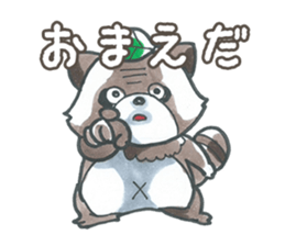 Racoon dog with a poker face sticker #11258636