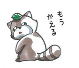 Racoon dog with a poker face sticker #11258638