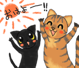 always cats cats!!! sticker #11259457