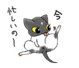 always cats cats!!! sticker #11259459