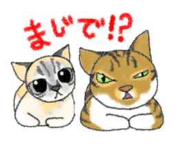 always cats cats!!! sticker #11259467