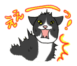 always cats cats!!! sticker #11259469