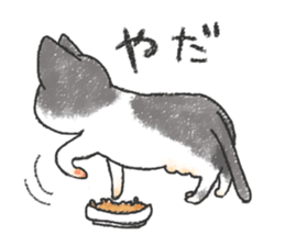 always cats cats!!! sticker #11259471