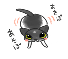 always cats cats!!! sticker #11259478