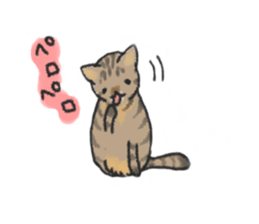 always cats cats!!! sticker #11259479