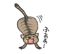 always cats cats!!! sticker #11259481