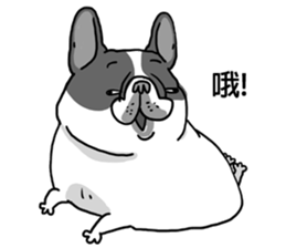 Half Sugar without ice frenchbulldog 2 sticker #11260064