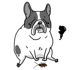 Half Sugar without ice frenchbulldog 2 sticker #11260068